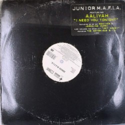 Пластинка Junior M.A.F.I.A. Featuring Aaliyah I Need You Tonight